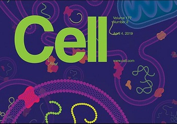 Cell同期發表多篇外泌體與細胞外RNA文章