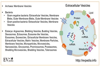 EVpedia-- Database of exosomal proteome, transcriptome, and lipidome